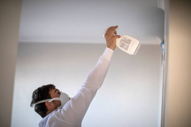 Best Mold Damage Repair  in Winthrop Harbor, IL